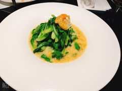 海味妙煮鸡毛菜-解香楼(八盘岭路店)