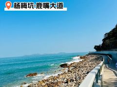 -杨梅坑