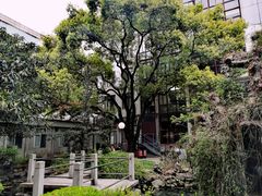 -上海交通大学医学院附属瑞金医院(总院)