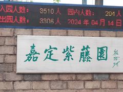 -嘉定紫藤园