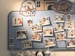 -汪说·狗咖·拼豆·宠物周边DIY(旺城大厦店)