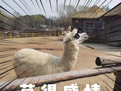 -常州淹城野生动物世界