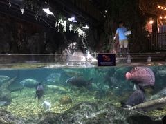 -暹罗海洋世界