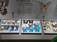 -烟台市博物馆