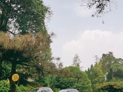 -缙云山景区
