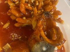 -眉州东坡(亚运村店)