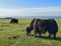 -青海湖国家重点风景名胜区