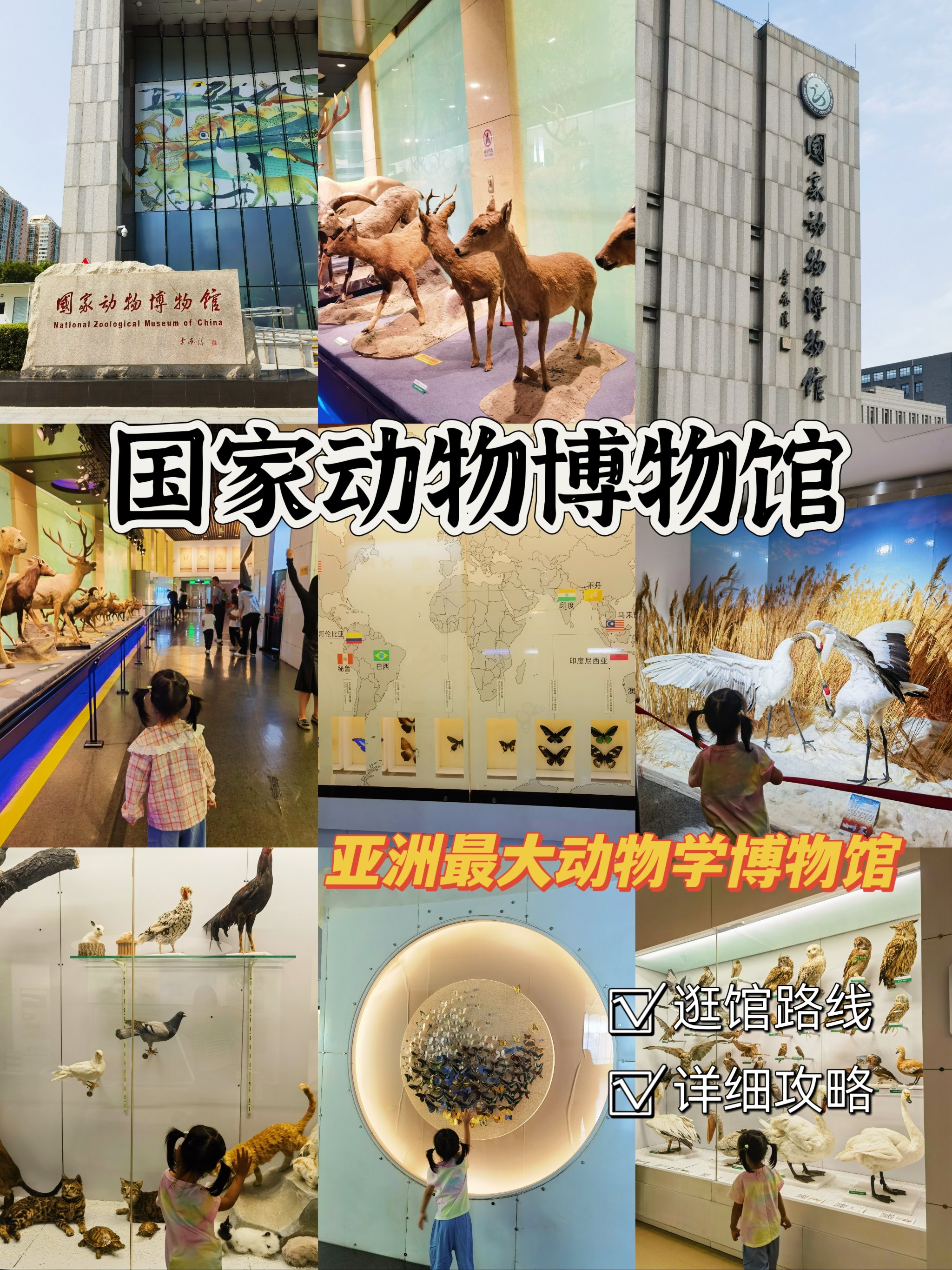 国家动物博物馆预约图片