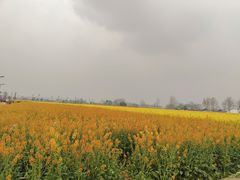 -中国天府农业博览园