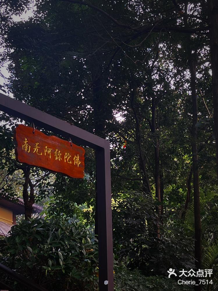 星河world般若禅寺