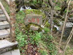 -牛背梁国家森林公园