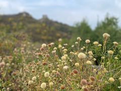 -蟠龙山长城景区
