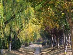 -永定河休闲森林公园