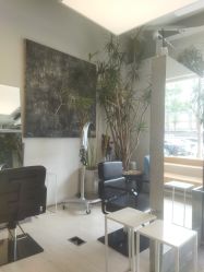 -Hair  Gallery