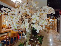 -爱江山温泉(凌奥店)