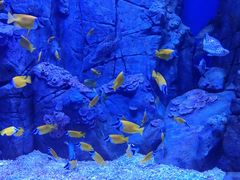 -成都浩海立方海洋公园