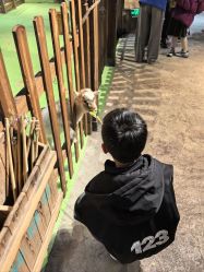 -酷嗒动物文化乐园(cutezoo西溪乐天城店)