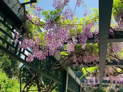 -北京市劳动人民文化宫(太庙)