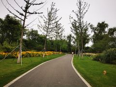 -昆山城市生态森林公园