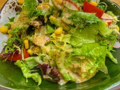 蔬菜沙拉-天正河鲀·河豚亭(大连店)
