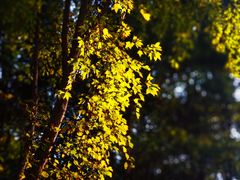 -中国浦东干部学院