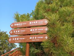 -少华山国家森林公园