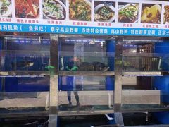 水产区-渔老大·有机鱼馆·老字号(古城店)