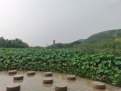 -云龙湖旅游景区