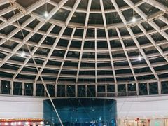 -蘇小主(徐州万达店)