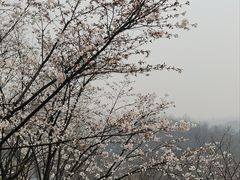 -幕燕滨江·长江观音景区