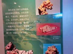 -中国地质大学逸夫博物馆
