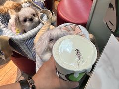 -813芭依珊 BAESAn(皇冠十畝地店)