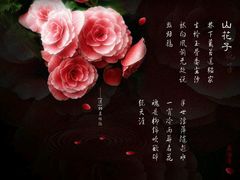 -黑池口感烘焙·生日蛋糕(坂田店)