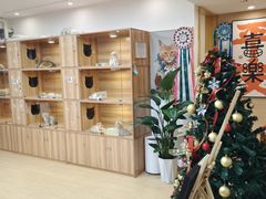 -猫十亿·布偶金渐层·曼基康矮脚猫舍(青年路店)