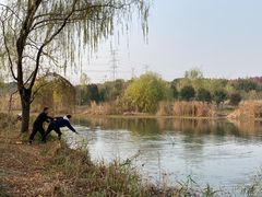 -昆山城市生态森林公园