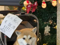 -品味斋片皮烤鸭(下沙宝龙店)