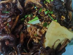 -昆明动物园