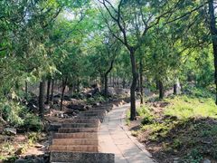 -北京十三陵国家森林公园蟒山景区