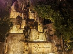 -拉斯维加斯永利酒店