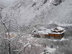 -黄龙山原始森林景区