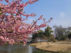 -上海辰山植物园