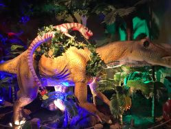 -恐龙探索乐园(磁器口店)