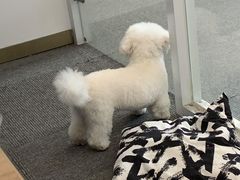 -佳雯宠物医院·皮肤科·内外科(春晓路分院)