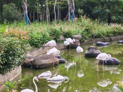 -御池园(顾村公园店)