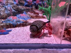 -沈阳海洋探索中心