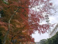 -浙江大学(玉泉校区)