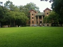 -中山大学学者灵芝(园南路店)