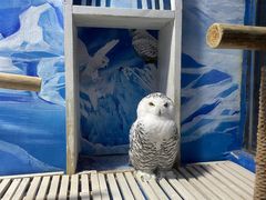 -成都浩海立方海洋公园