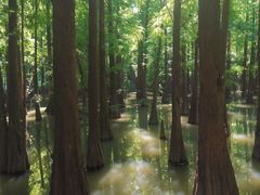 -星湖旅游景区七星岩