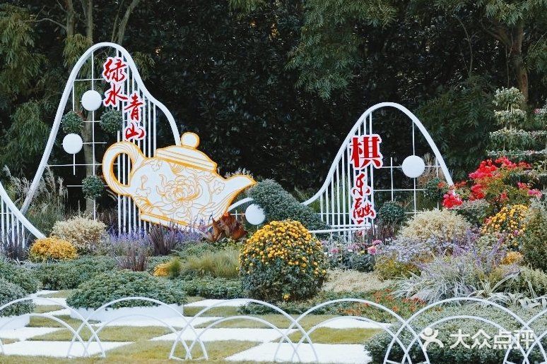 婀娜多姿  争奇斗艳  2021共青菊花展